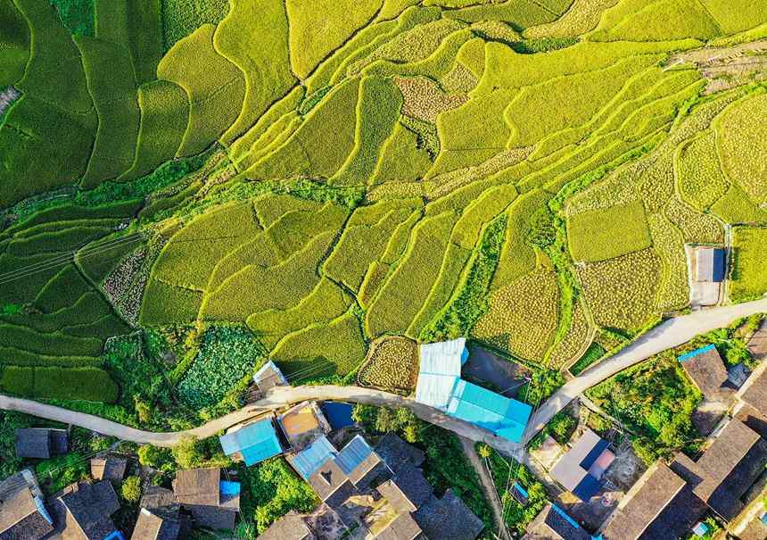 �����S�����L(f��ng)���箋���ҿh���������D