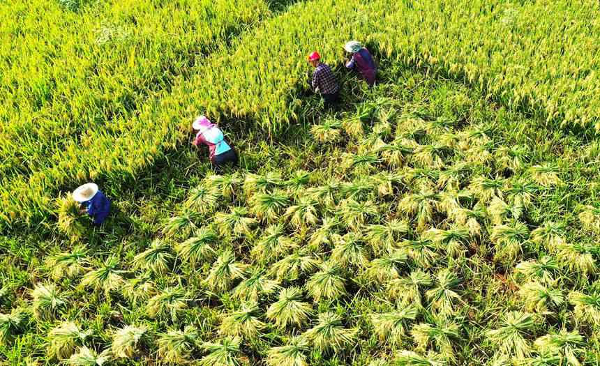 �r(n��ng)�����ڸ�ˮ�����ҿh���������D