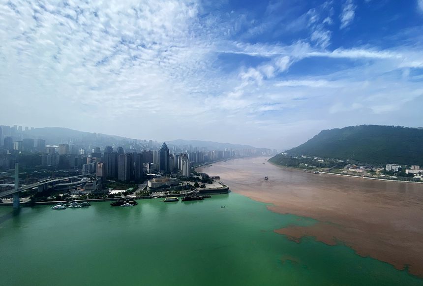 �ɽ����R���S�Ӕz