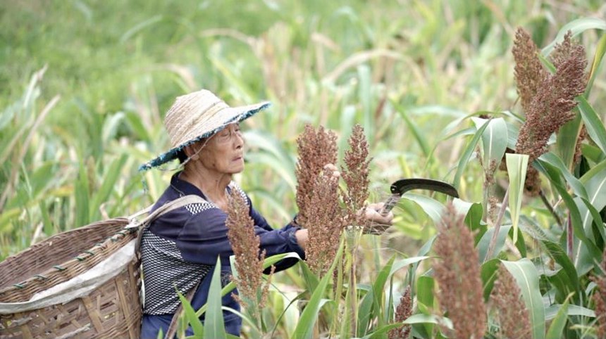 �r�������ո����������ɔz