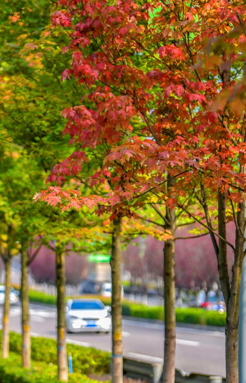 �Vꖍu�Ǆ�(chu��ng)���B(t��i)�����������޾�ӡ�z