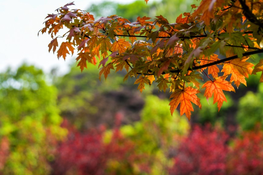 �Vꖍu�Ǆ�(chu��ng)���B(t��i)�����������޾�ӡ�z