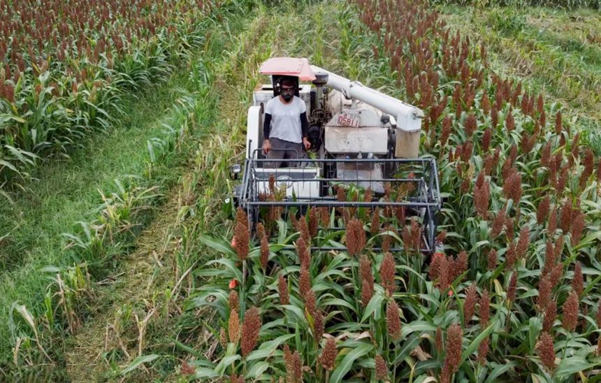 (li��n)���ո�C(j��)�������I(y��)������ɔz