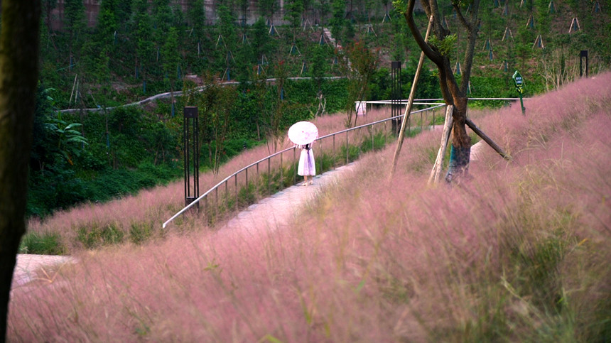 ���պӹ��@ɽˮ�g���^���Y�J�z