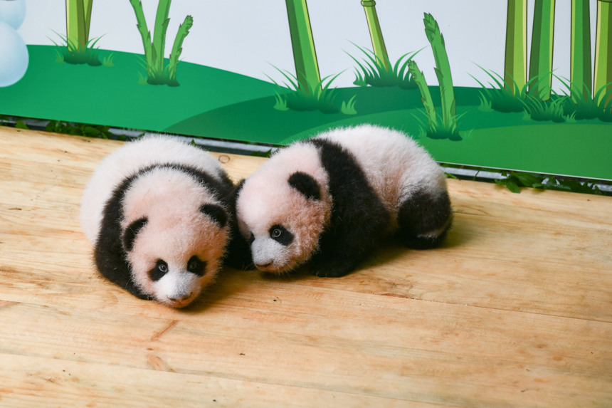 �ؑc����@�p��̥����؈�M�������u���z