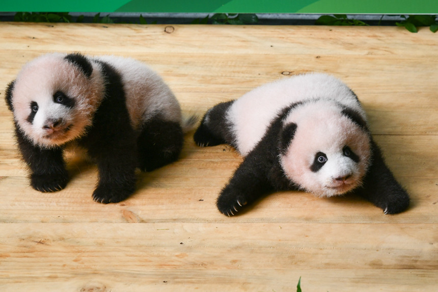 �ؑc��(d��ng)��@�p��̥����؈�M(m��n)�������u��(l��)�z