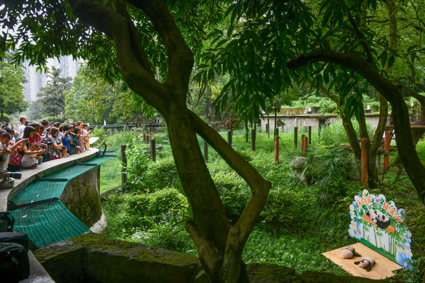 �ؑc��(d��ng)��@�p��̥����؈�c�ο���ʽҊ�����u��(l��)�z