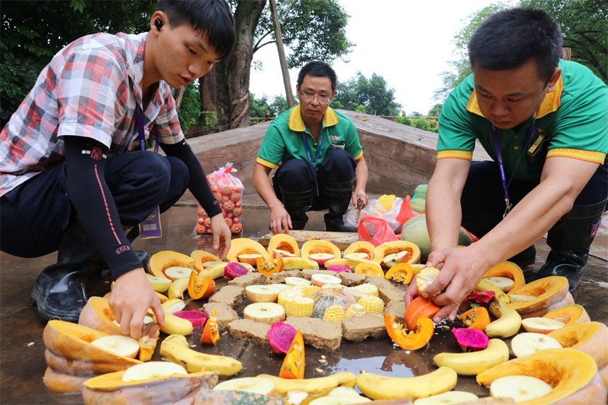 ��B(y��ng)�T����������ĹϹ�ƴ�P(p��n)����������˻����������ܹ����㽶��ʮ��N�Ϲ������ɽܔz