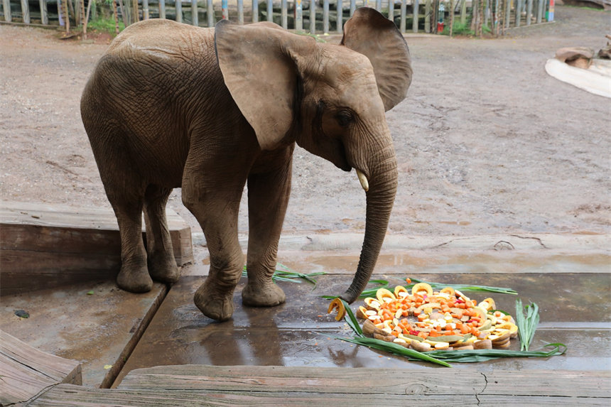 �����挦�����A��������U�����ɽܔz