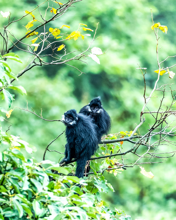 ���ɽ���~���ژ�������ˣ��������z