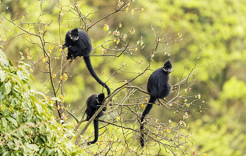 ���ɽ���~���ژ�������ˣ��������z