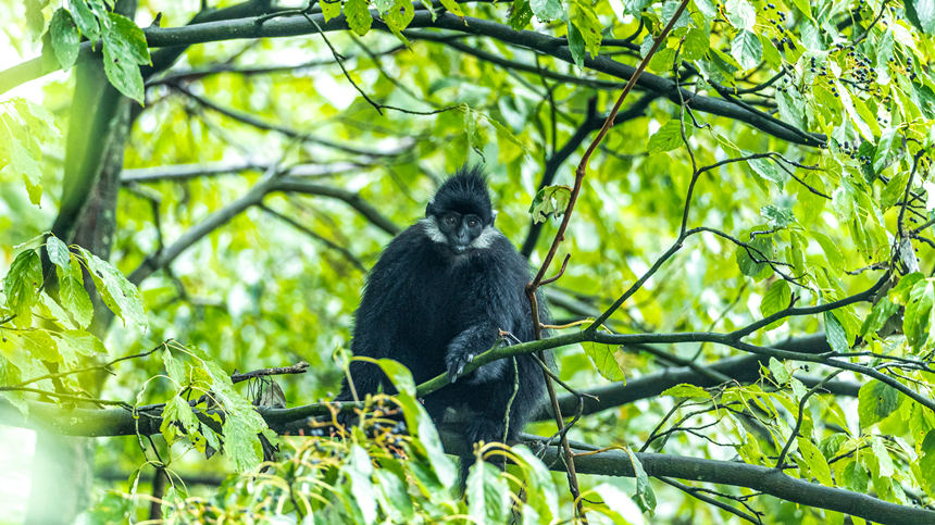 ���ɽ���~���ژ�������ˣ��������z