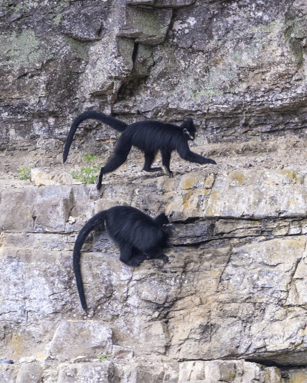 ���ɽ���~�������¡��rҺ����������z