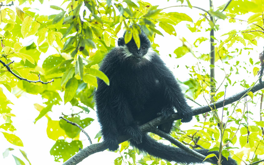 ���ɽ���~���ژ�������ˣ��������z