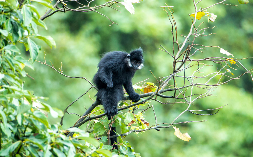 ���ɽ���~���ژ�������ˣ��������z