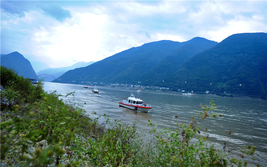 �l(w��i)����(y��ng)����Ԯͧ���t(y��)�o�ˆT����̕r�gͶ�͵��¹ʵ�һ�F(xi��n)�����Ӣ�z