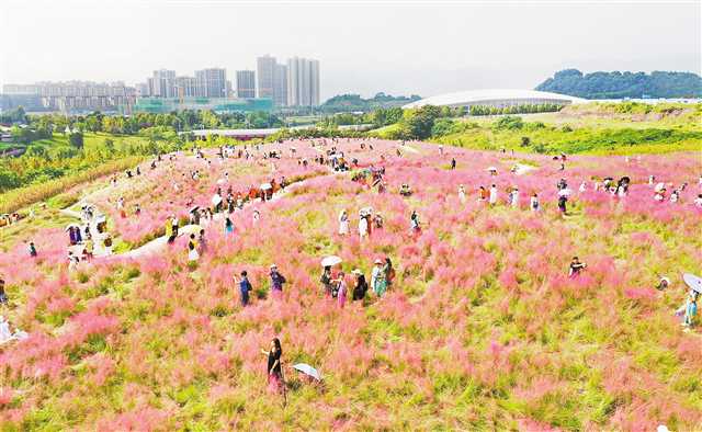 ����(zh��ng)��򿨡��ǻ�+���B(t��i)����