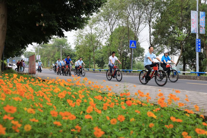 �匚�(zh��n)�T���L(f��ng)�����wǬ�z