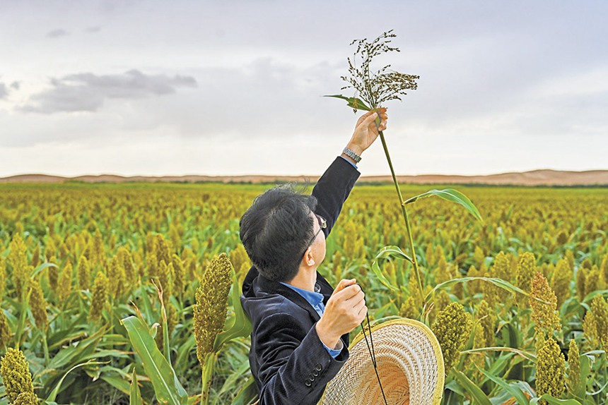 9��19������(n��i)�ɹŞ��m����ɳĮ��ɳĮ����������ԇ���л����������ˆT�ڸ��������ռ���(sh��)��(j��)��