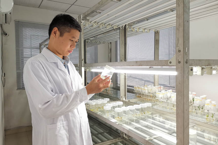 ���(hu��)�{(di��o)�飺�w�(y��n)�ְ��r(n��ng)��Ժ���ҵĹ������؎�����С���D