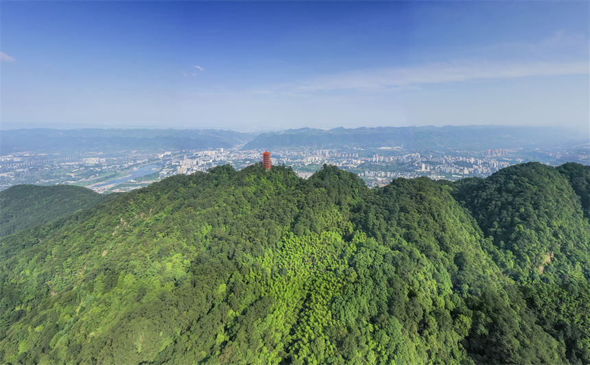 ���Յ^(q��)�N��ɽ�����Յ^(q��)���B(t��i)�h(hu��n)���ֹ��D