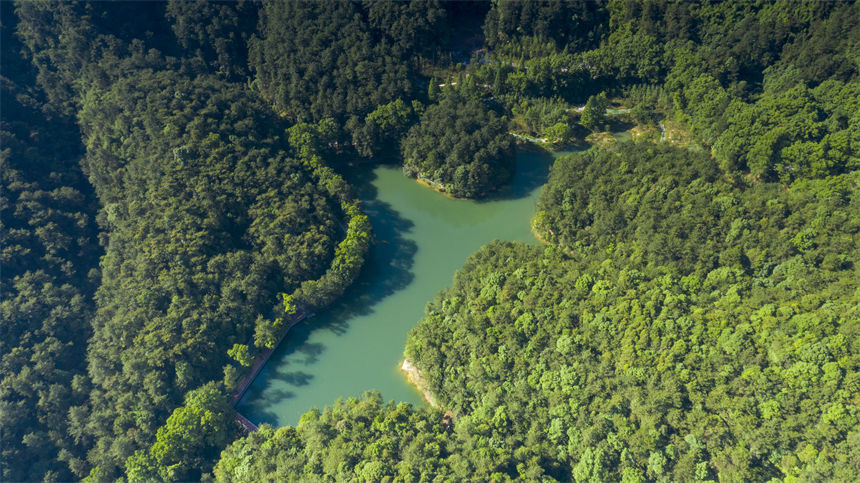 ���Յ^(q��)�N��ɽ��������Յ^(q��)���B(t��i)�h(hu��n)���ֹ��D