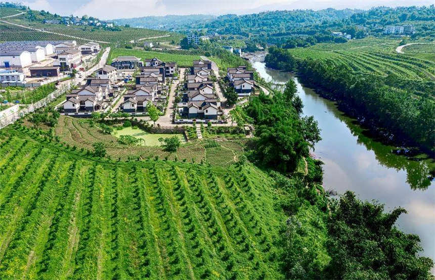 �山��ʢ�������������z