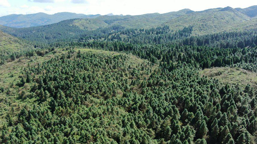 �S���h������м�(j��)��Ȼ���o(h��)�^(q��)�o�˅^(q��)ֲ���S���������A�z