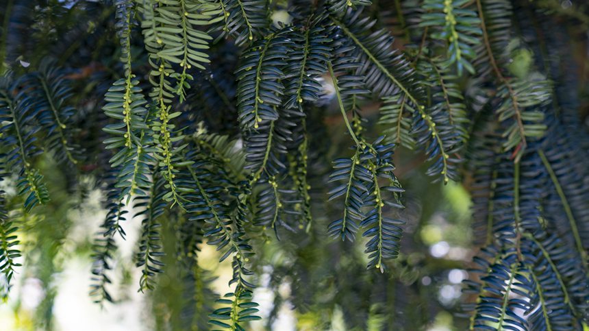 ���L��ï�ļt��ɼ�ט䡣�����A�z