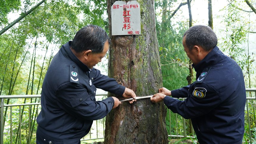 ���ƴ���L�������������A�z