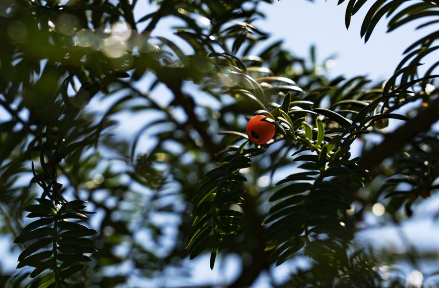 ֦�^���������Ǽt��ɼ�����������A�z