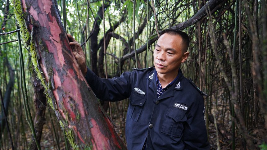 ���d�Aÿ�¶���Ѳ�o���^(q��)��(n��i)���Ϸ��t��ɼ�������A�z