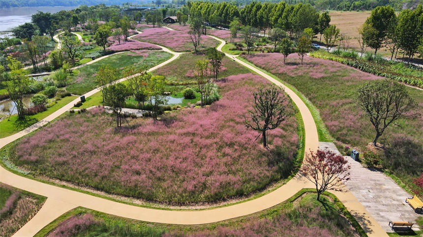 ��Ƭ�ķ������һ����ɫ�Į���������z