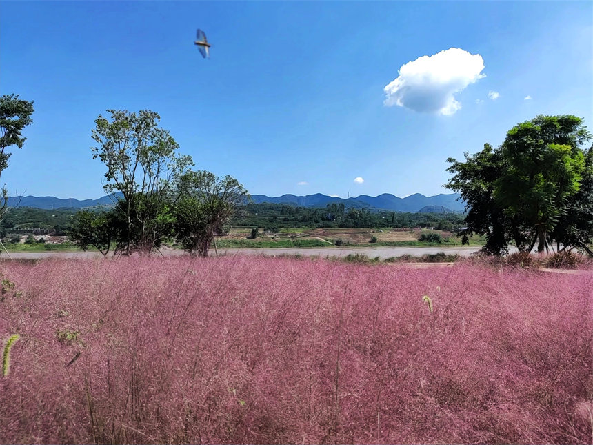 �Vꖍu����������B(t��i)�ޏ�(f��)�^(q��)���pӯ�������V�ķ���˝M��������һ����@�ͮ�������z