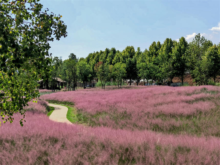 ��Ƭ�ķ������һ����ɫ�Į���������z