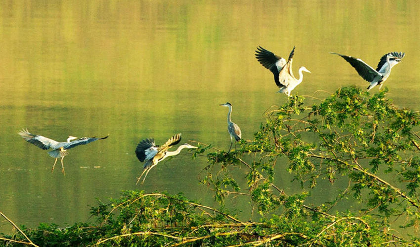 ��������ԣ��n�������Vꖍu�Gɫ�l(f��)չ��˾���D