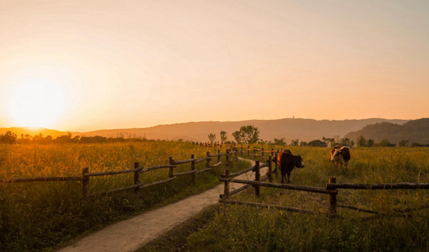 �����݈�(ch��ng)���V�(y��ng)�u�Gɫ�l(f��)չ��˾���D