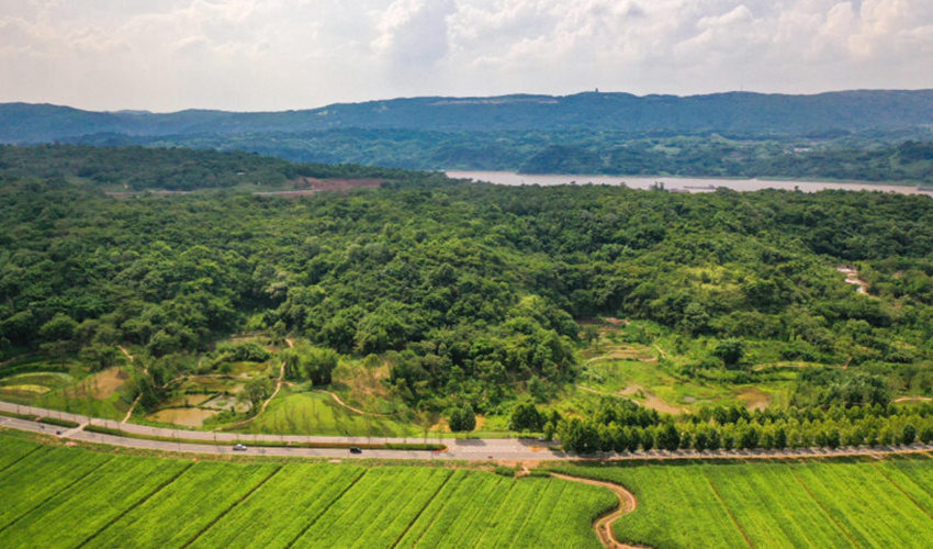 С΢������Vꖍu�Gɫ�l(f��)չ��˾���D