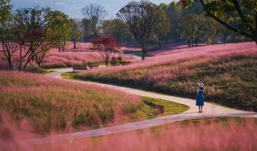 ����������V�(y��ng)�u�Gɫ�l(f��)չ��˾���D