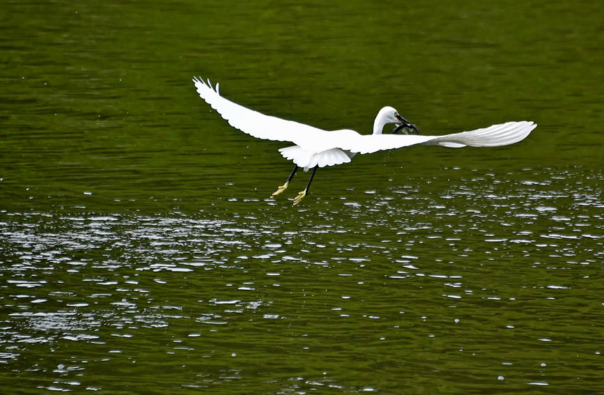 �����ں��в��~���S�Ӕz