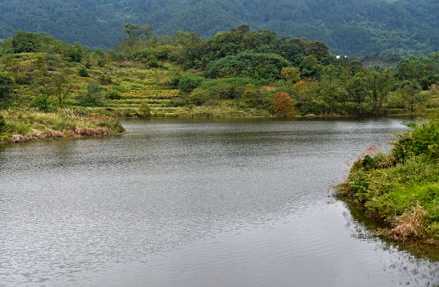 ���淺���ꇝi�����S�Ӕz