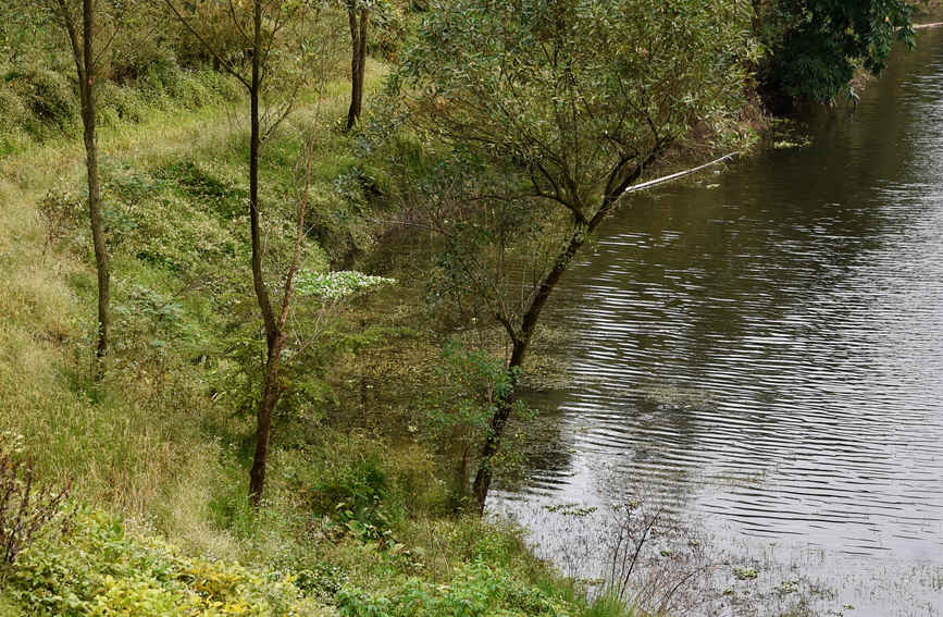 �۹Ⱥ��������������S�Ӕz