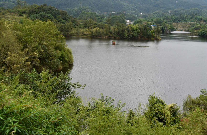 �۹Ⱥ��L(f��ng)���箋���S�Ӕz