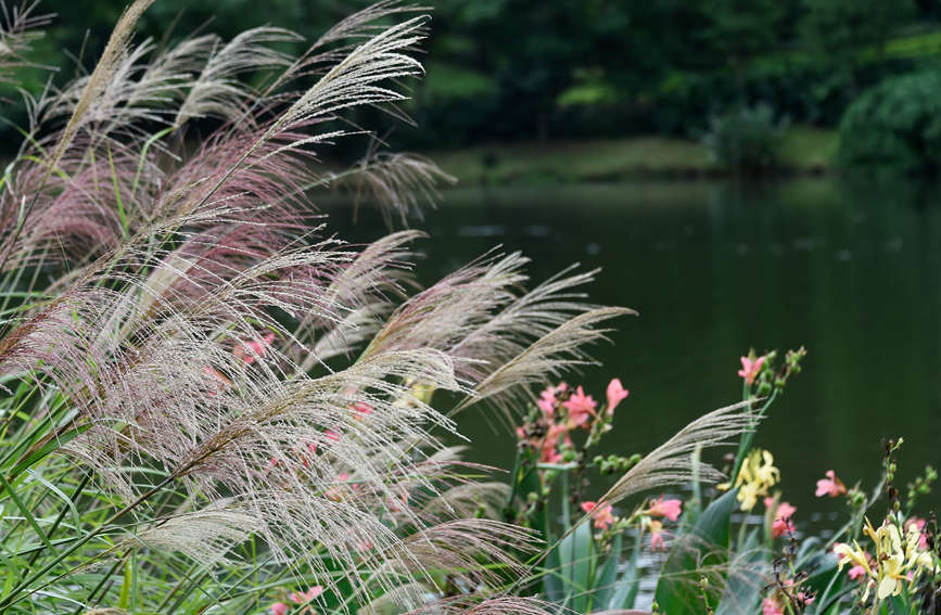 ����r(sh��)�����۹Ⱥ��L(f��ng)���箋���S�Ӕz