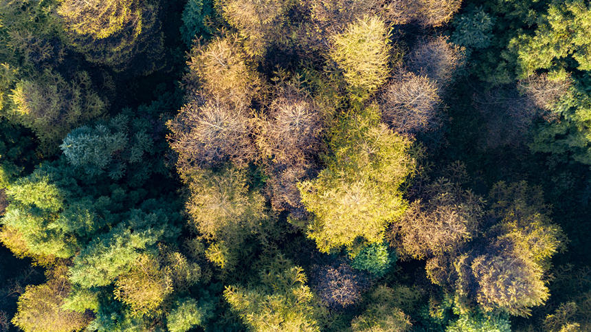 ���֌Ӵ��S�����ɫ�����������A�z 