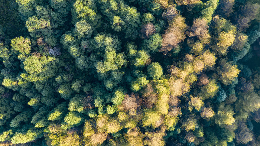 ���֌Ӵ��S�����ɫ���ӡ������A�z