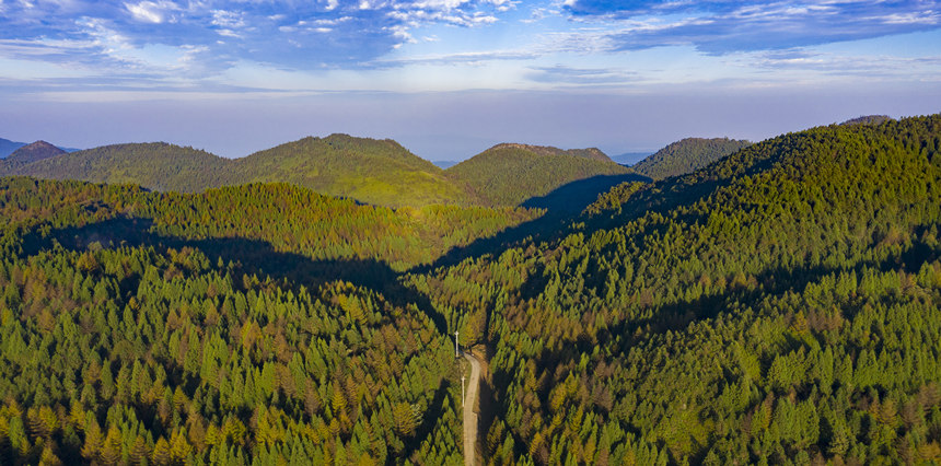 ɭ����Ĺ�·�������h���������A�z