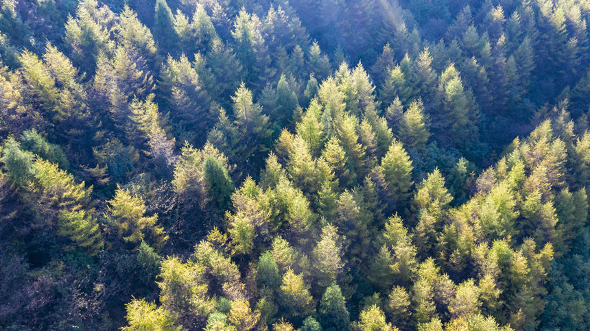 ��ꖹ�������£����~�ɵ��ɫ���ӝ����������A�z