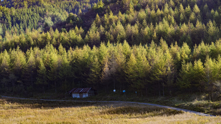 ɭ���������������������A�z