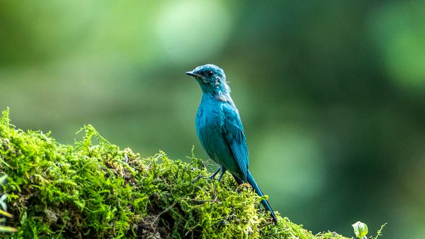 ���ɽ������Ȼ���o�^(q��)�Ĕz���~���l��������z